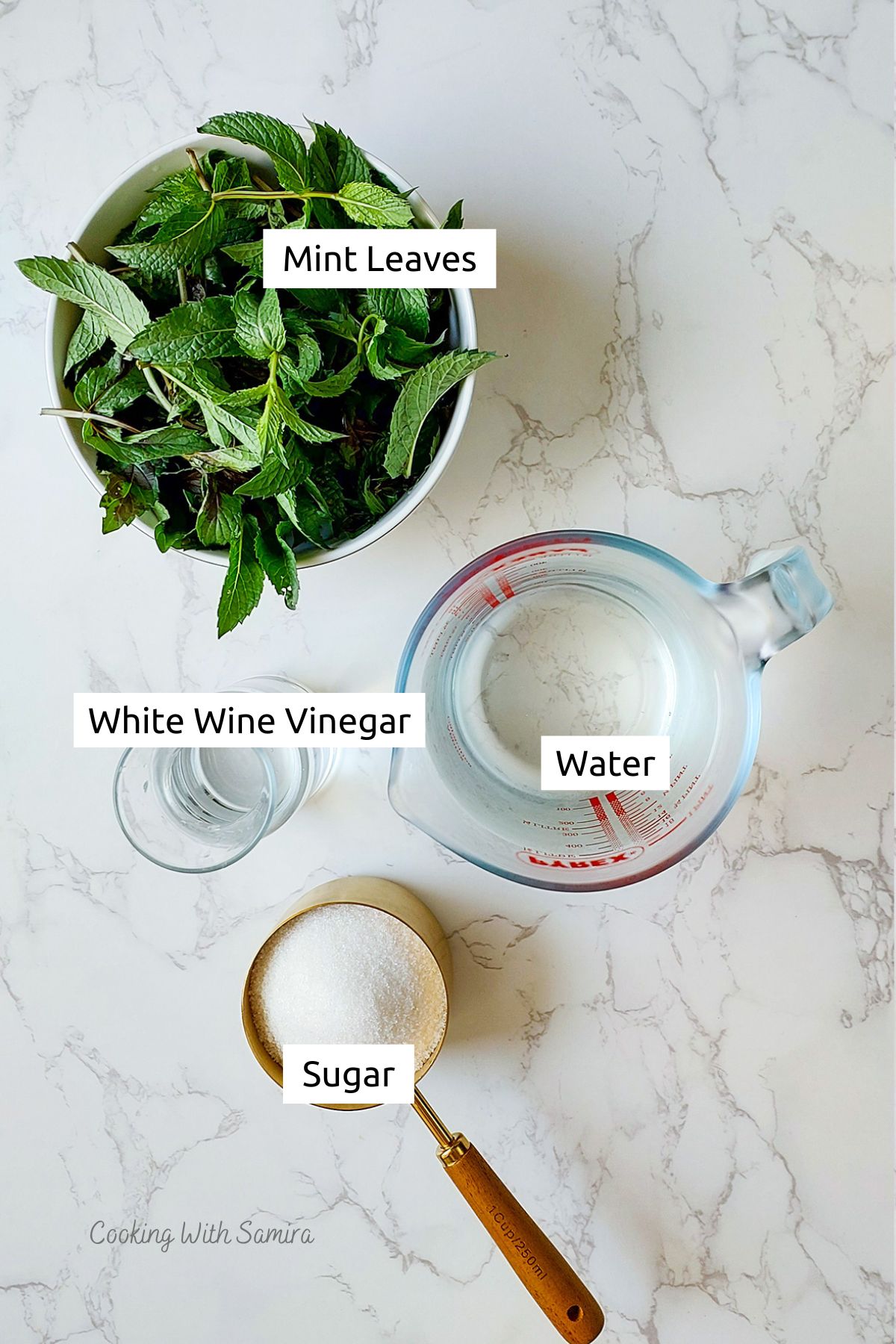 Sekanjabin (Persian Mint and Vinegar Syrup)